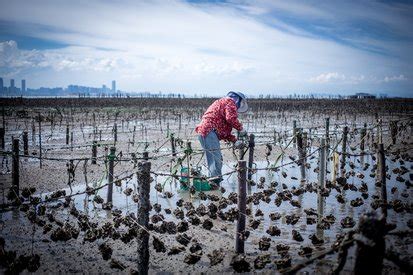 金門釣魚|2024金門、馬祖前十大釣魚